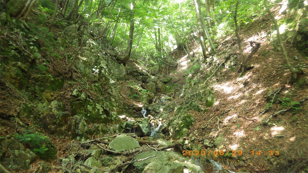 f:id:hikeshi178:20200701212452j:image f:id:hikeshi178:20200701212452j:image