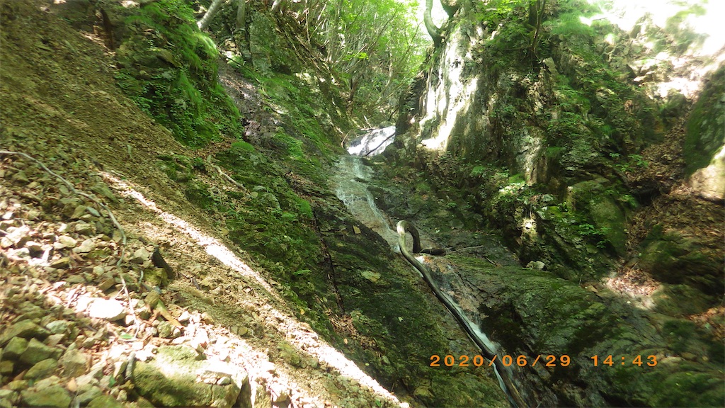 f:id:hikeshi178:20200701212456j:image f:id:hikeshi178:20200701212456j:image