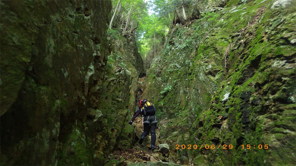 f:id:hikeshi178:20200701213811j:image f:id:hikeshi178:20200701213811j:image