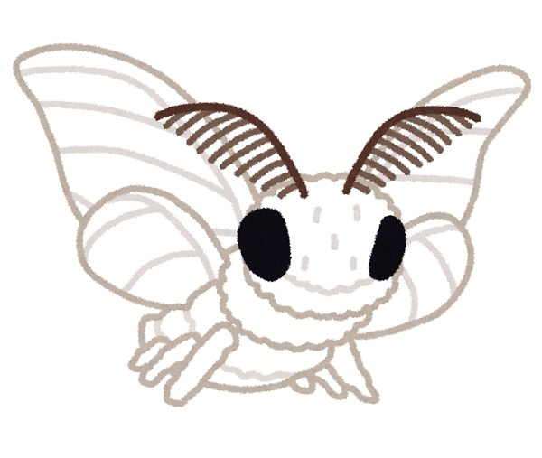 もふもふの蚕