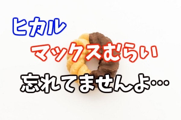 ヒカルとマックスむらい Valu騒動後初のコラボ 感謝の気持ちを伝える ひきこもりクエスト