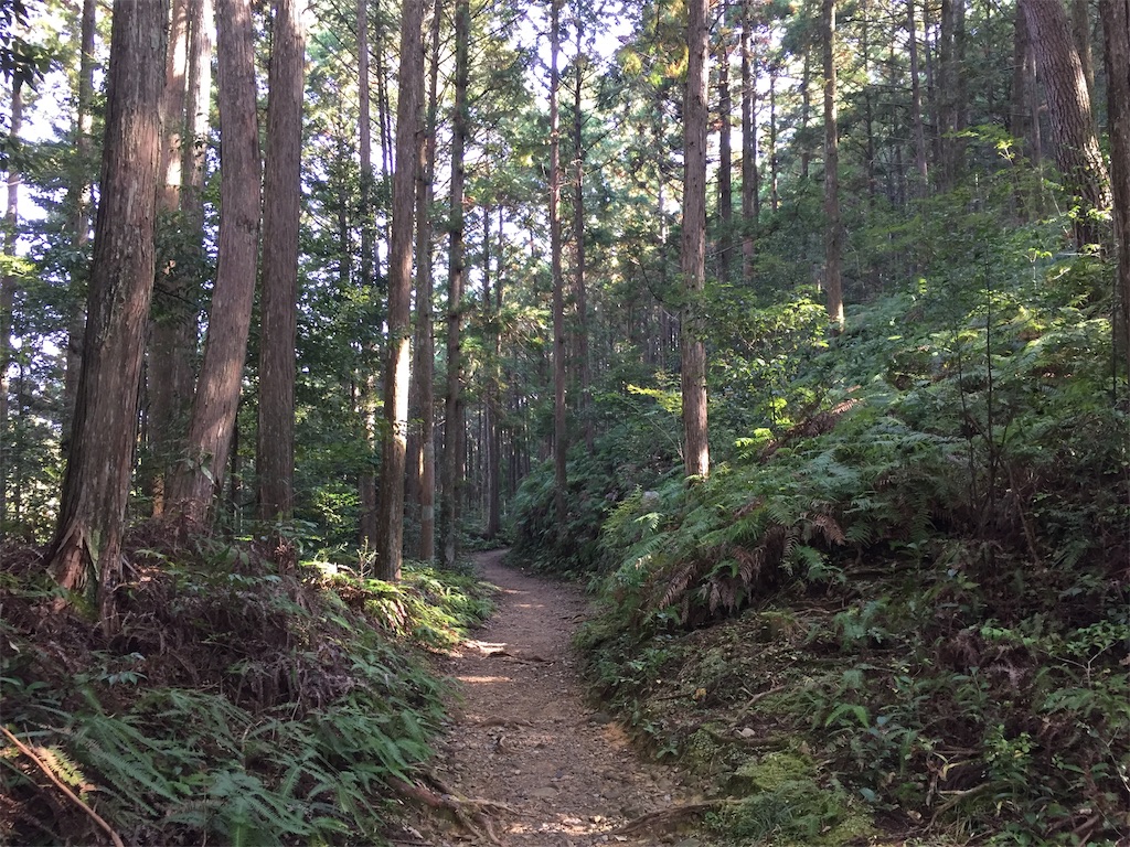 f:id:hikidashi4:20230108192338j:image