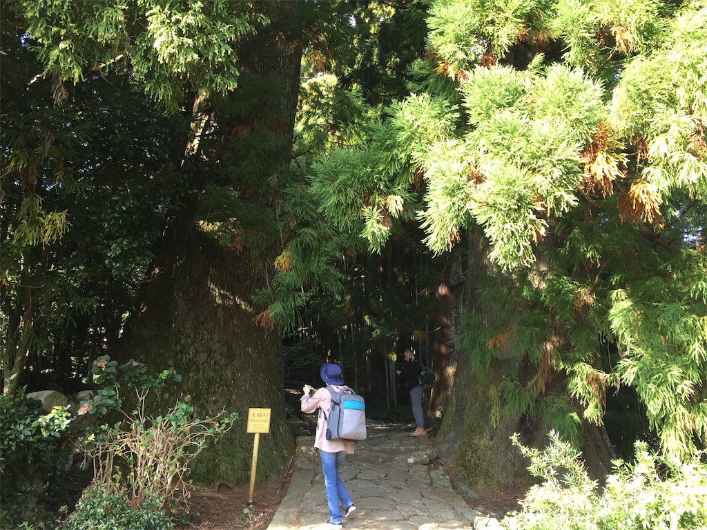 f:id:hikidashi4:20230623220605j:image
