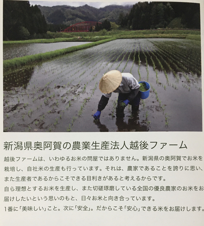 f:id:hikikomori_shufu:20201224132047j:plain