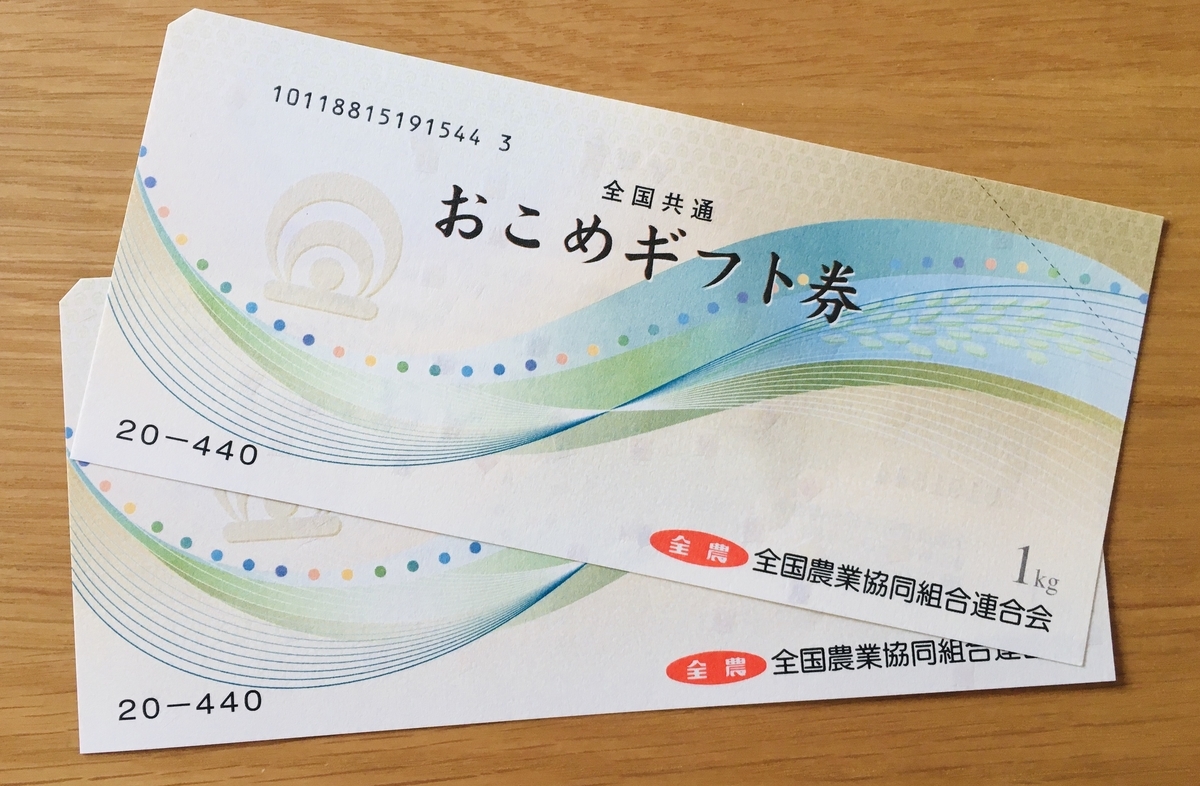 f:id:hikikomori_shufu:20201224134347j:plain