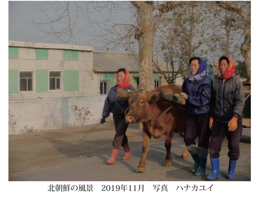 f:id:hikipos:20200715152445j:plain