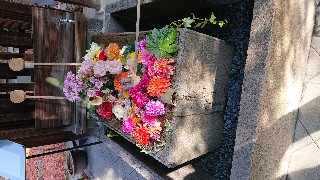 f:id:hikitakawara:20191221154755j:image