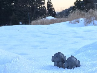 f:id:hikitakawara:20200212003156j:image f:id:hikitakawara:20200212003156j:image
