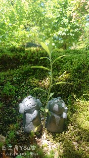 f:id:hikitakawara:20200628123926j:image