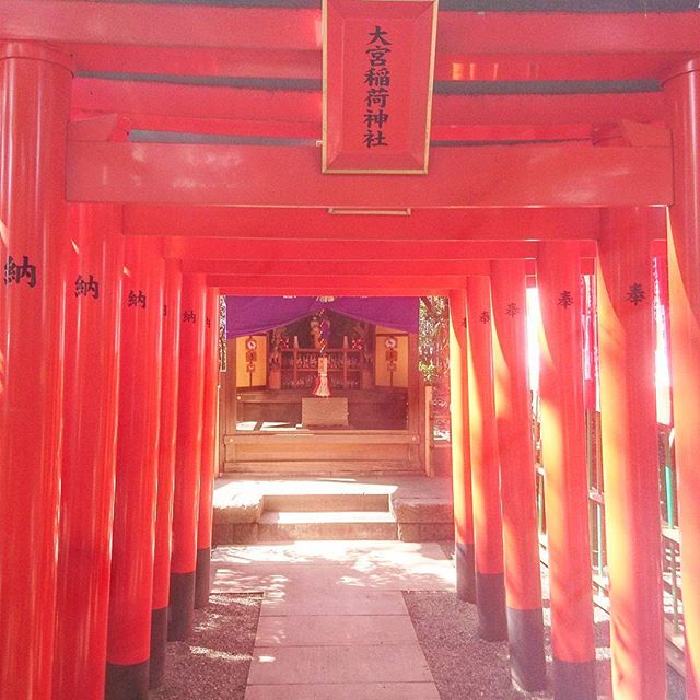 f:id:hikiyose2:20200110031641j:plain
