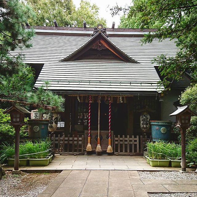 f:id:hikiyose2:20200312040105j:plain