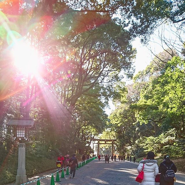 f:id:hikiyose2:20200328030858j:plain