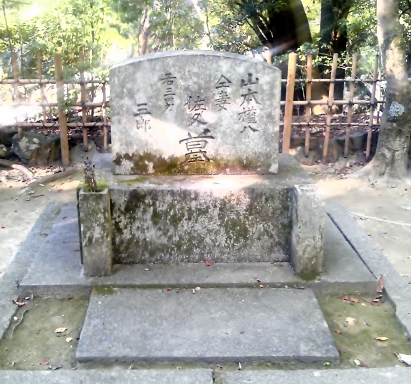 f:id:hiko-asiato:20131014140620j:image:w360