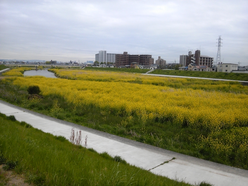 f:id:hiko-asiato:20140421175043j:image:w550