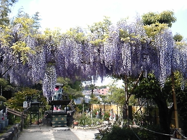 f:id:hiko-asiato:20140423145948j:image:w550