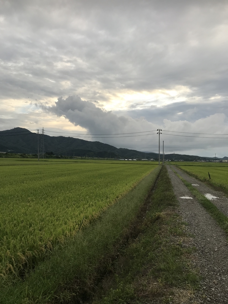 f:id:hiko-peco:20181222071222j:plain