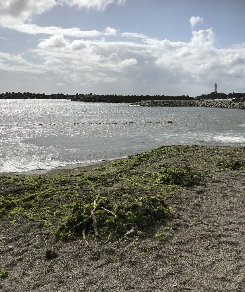 f:id:hiko-peco:20190103174010j:plain