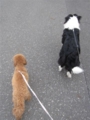 20120627173052