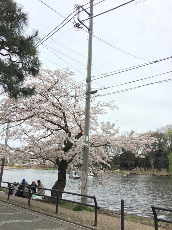 f:id:hiko1985:20150404154443j:plain