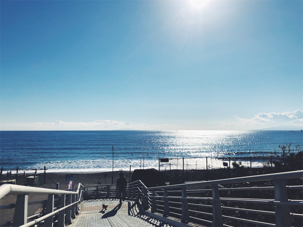 f:id:hiko_13:20190131234234j:image