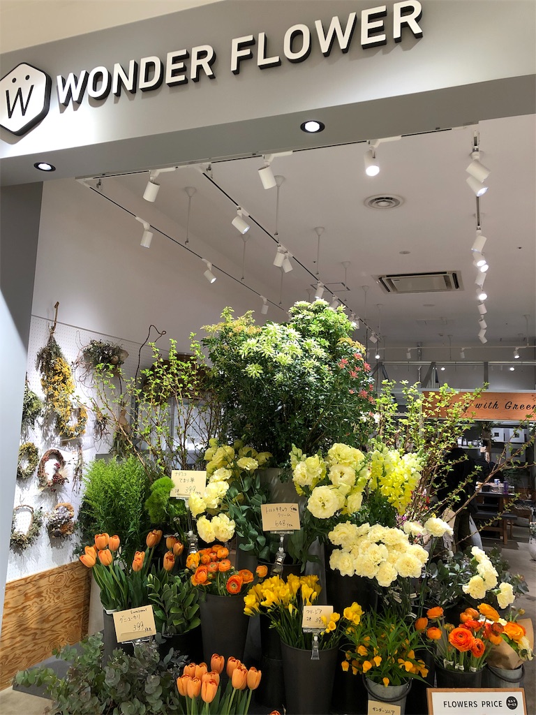 f:id:hiko_13:20190331230520j:image