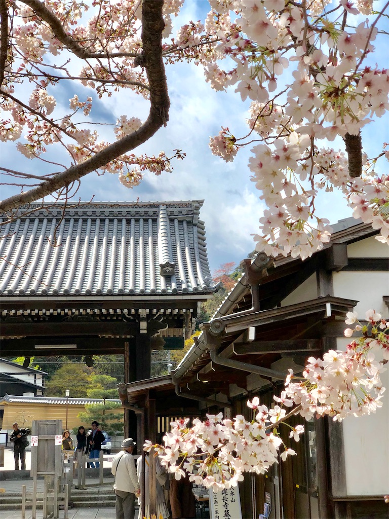 f:id:hiko_13:20190430233938j:image