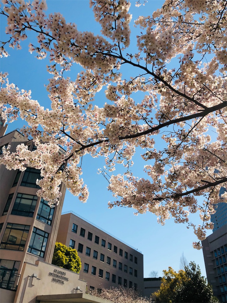 f:id:hiko_13:20190430233942j:image