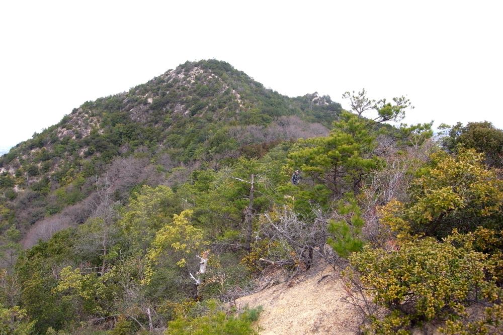 f:id:hikojima:20170326181342j:plain f:id:hikojima:20170326181342j:plain