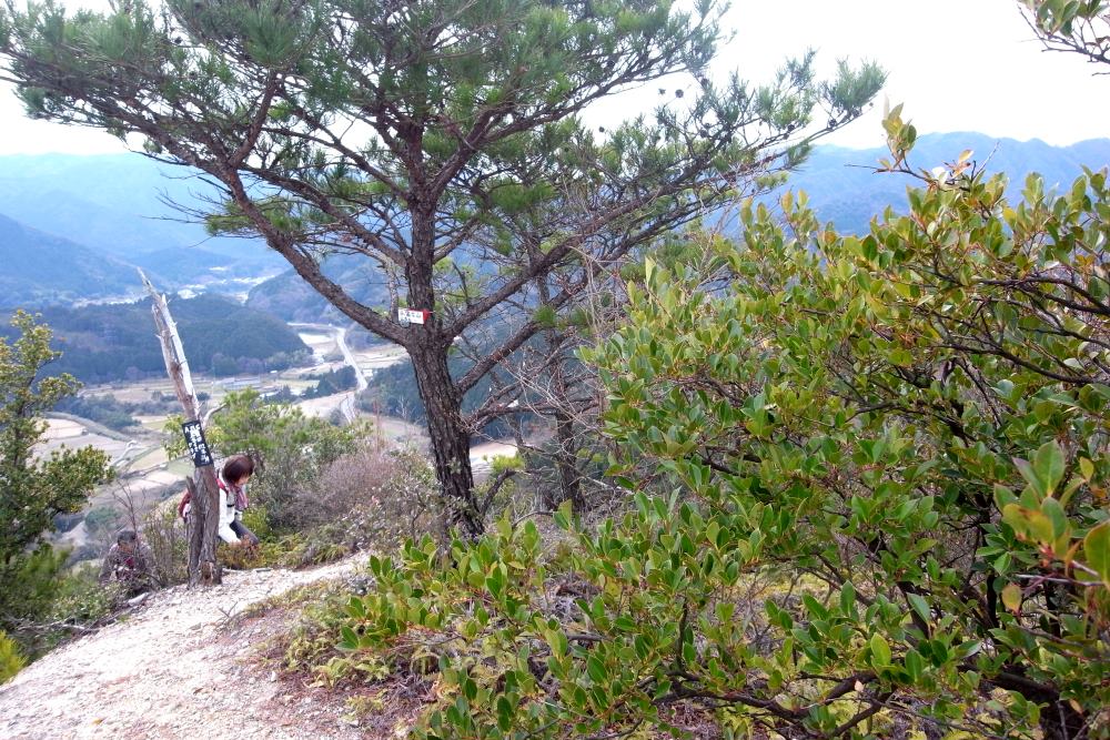 f:id:hikojima:20170326181453j:plain f:id:hikojima:20170326181453j:plain