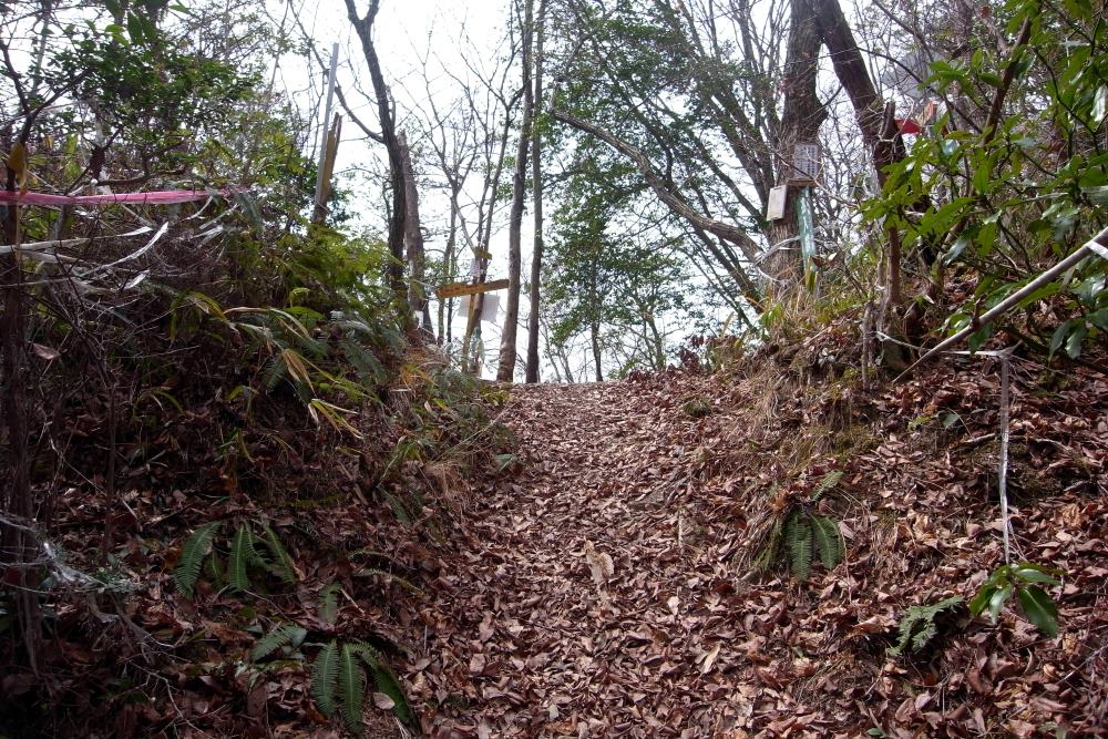 f:id:hikojima:20170326181546j:plain f:id:hikojima:20170326181546j:plain