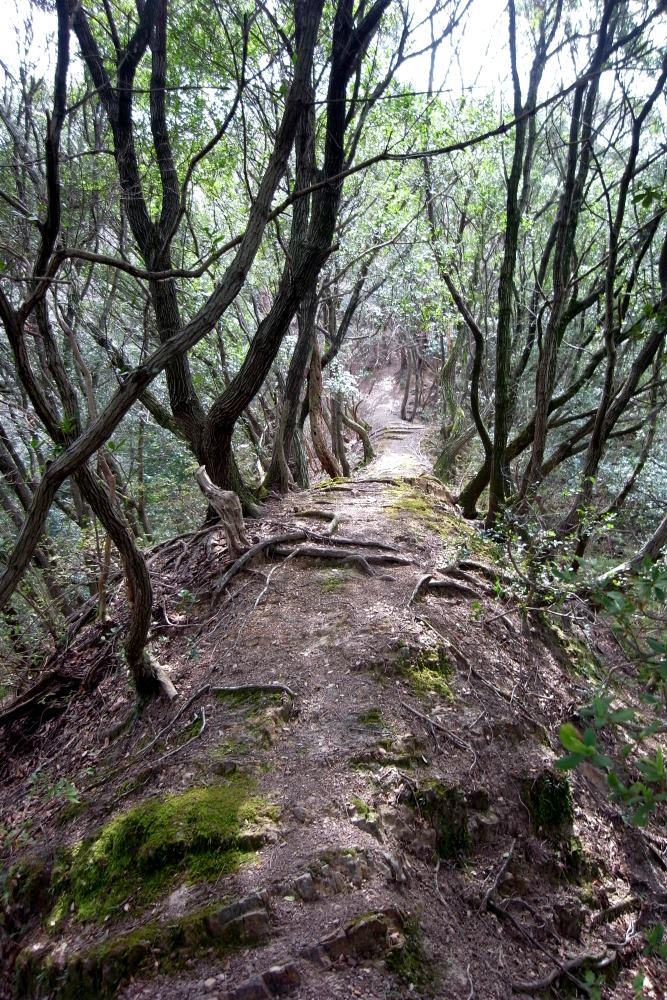 f:id:hikojima:20170326181552j:plain f:id:hikojima:20170326181552j:plain