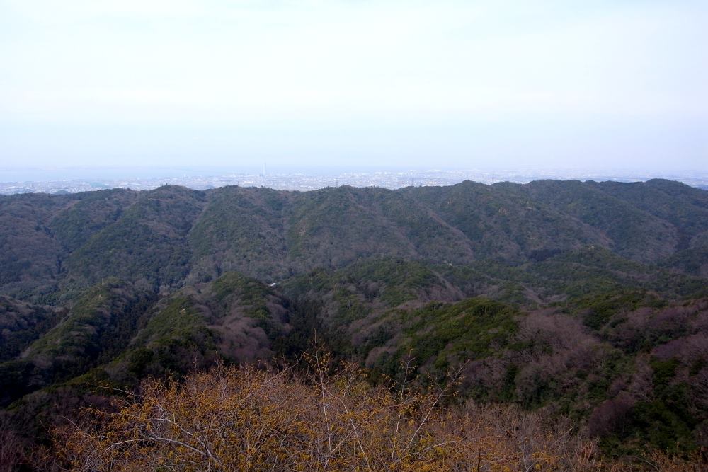 f:id:hikojima:20170326181559j:plain f:id:hikojima:20170326181559j:plain