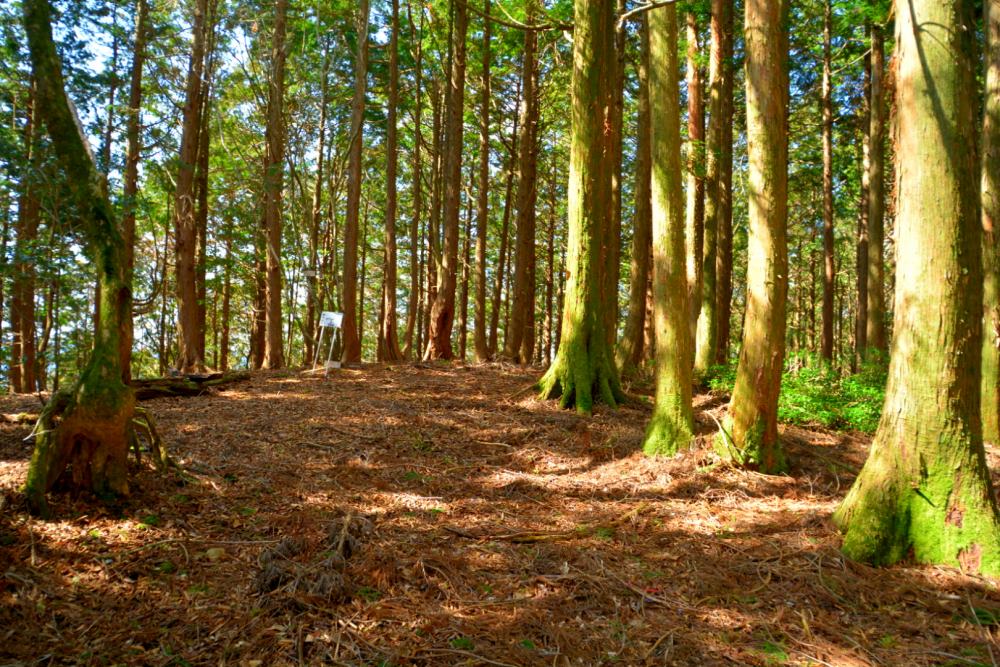 f:id:hikojima:20170330171122j:plain