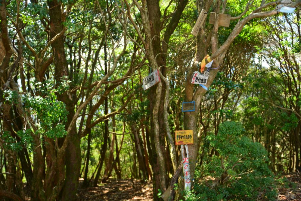 f:id:hikojima:20170330171151j:plain