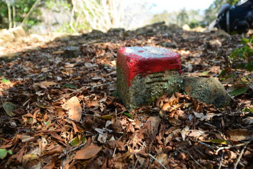 f:id:hikojima:20170330171200j:plain