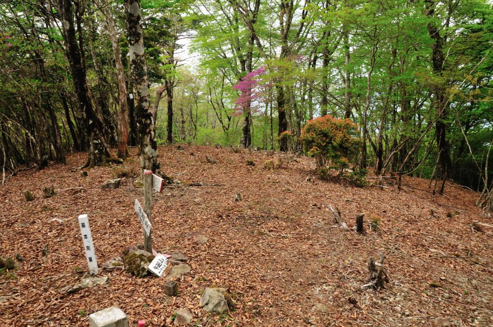 f:id:hikojima:20170513171553j:plain