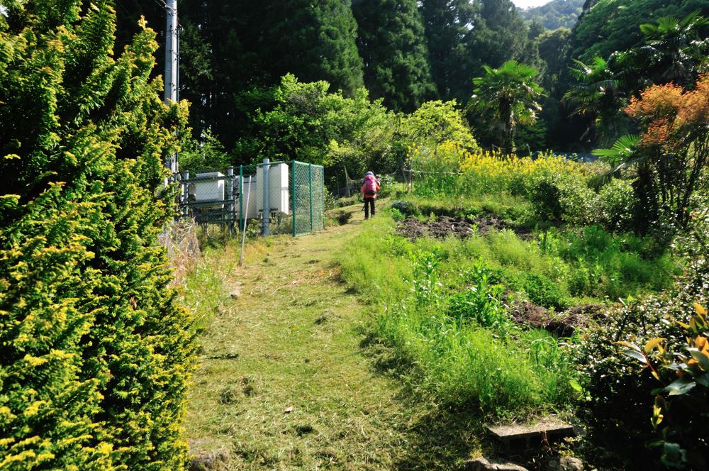 f:id:hikojima:20170513171740j:plain