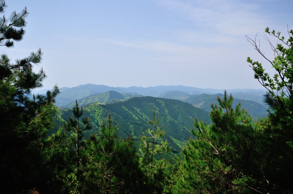 f:id:hikojima:20170513171817j:plain