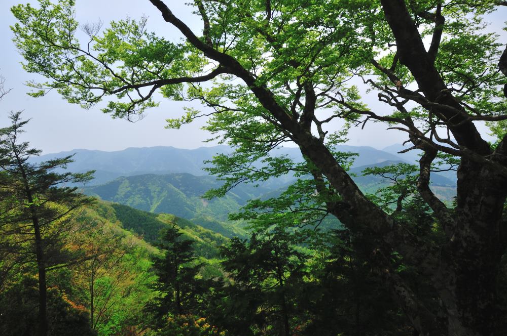 f:id:hikojima:20170513171842j:plain