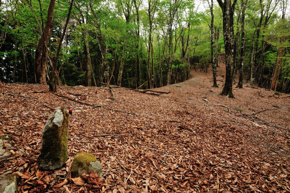 f:id:hikojima:20170513171915j:plain