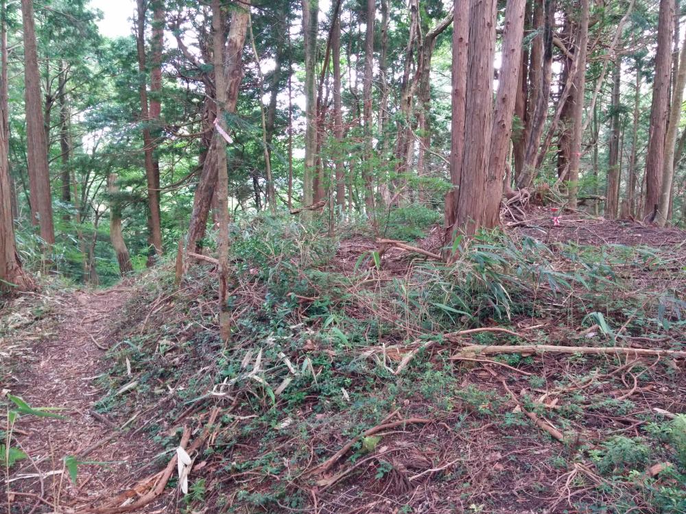 f:id:hikojima:20170819100943j:plain f:id:hikojima:20170819100943j:plain