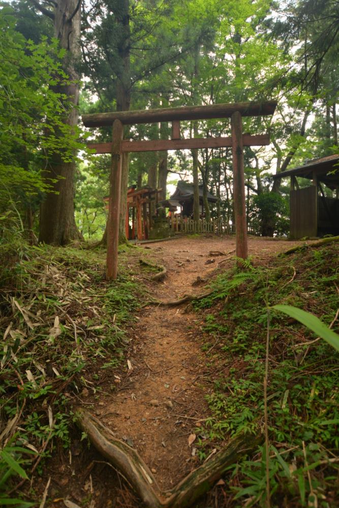 f:id:hikojima:20170819101429j:plain f:id:hikojima:20170819101429j:plain