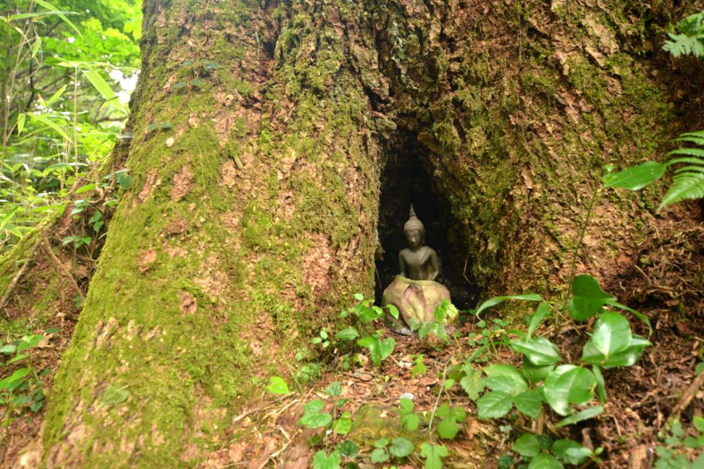 f:id:hikojima:20170819103056j:plain f:id:hikojima:20170819103056j:plain