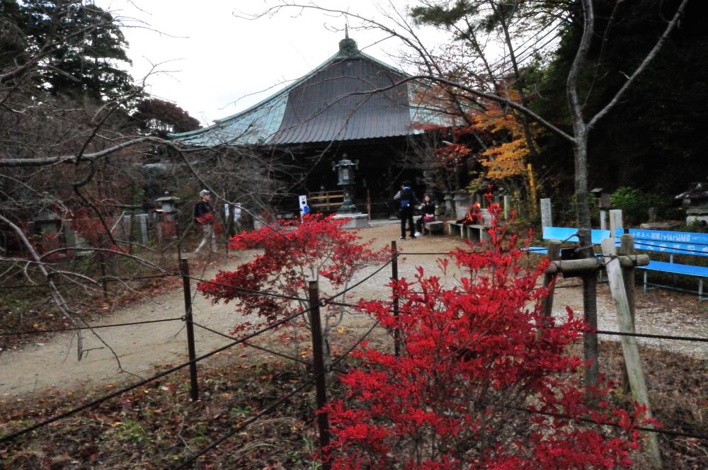 f:id:hikojima:20171112103450j:plain