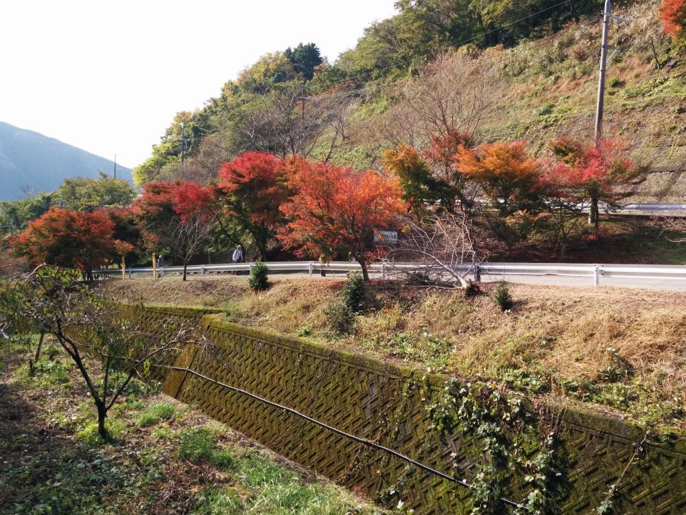 f:id:hikojima:20171112103519j:plain