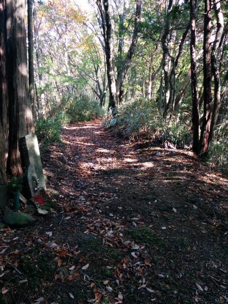 f:id:hikojima:20171112103528j:plain