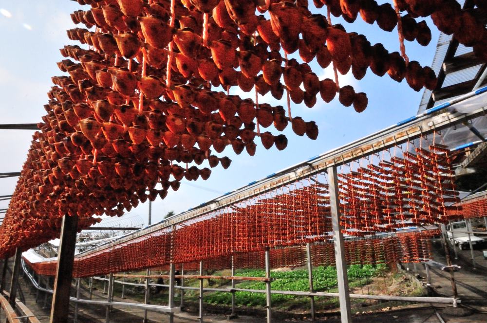 f:id:hikojima:20171112103546j:plain