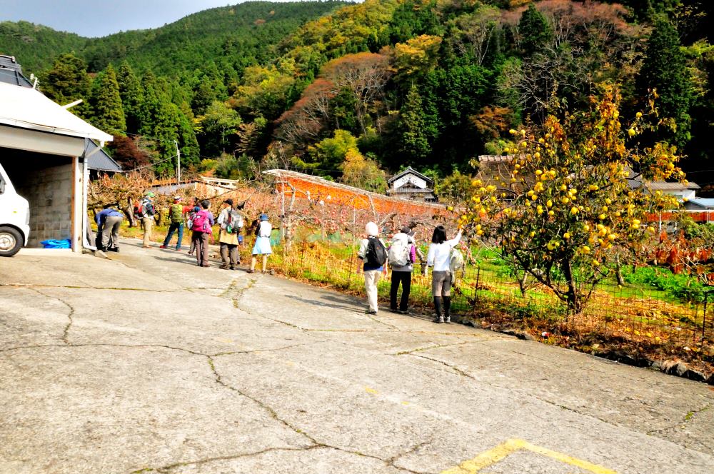 f:id:hikojima:20171112103553j:plain