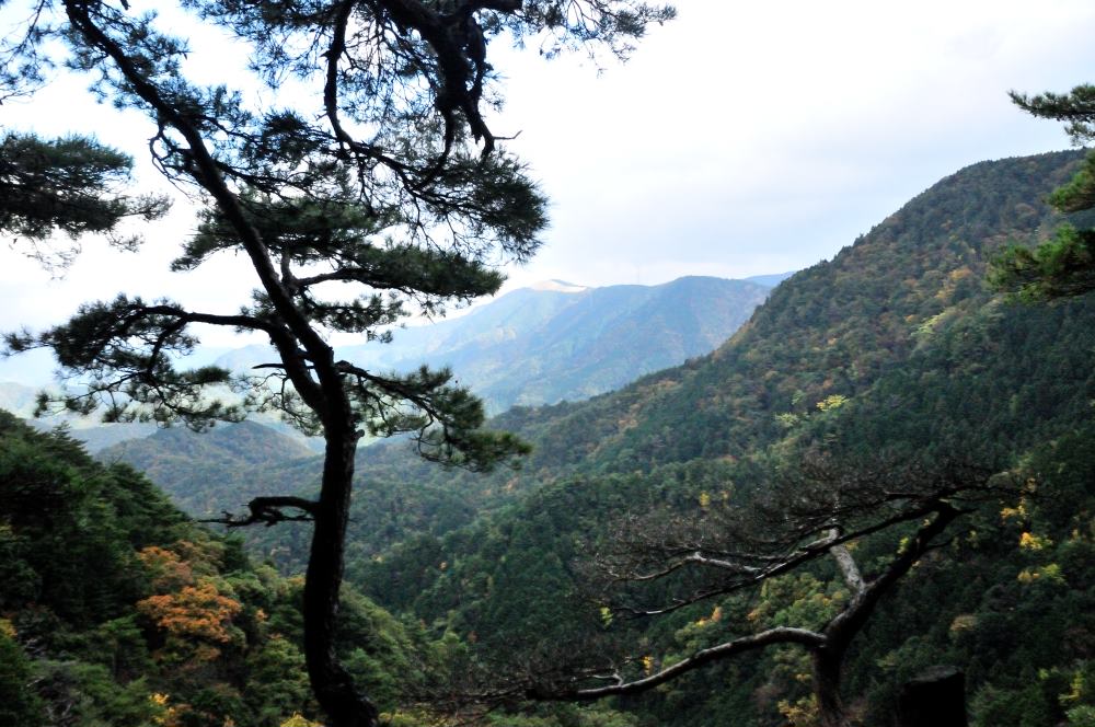 f:id:hikojima:20171112103602j:plain