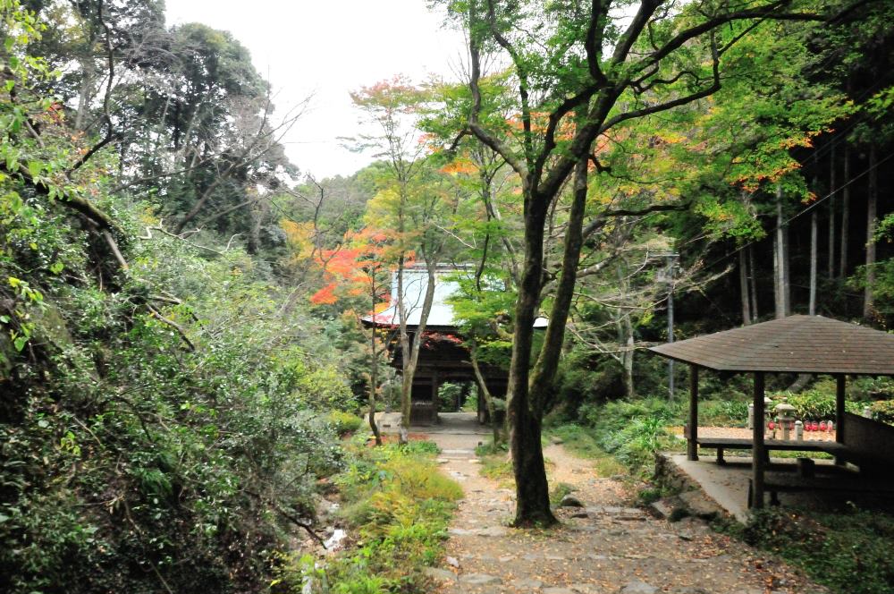 f:id:hikojima:20171112103617j:plain